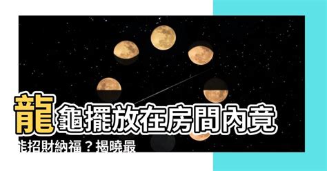 龍龜可以放房間嗎|龍龜可放房間嗎？風水大師公開擺放技巧，教你消災擋煞招好運！